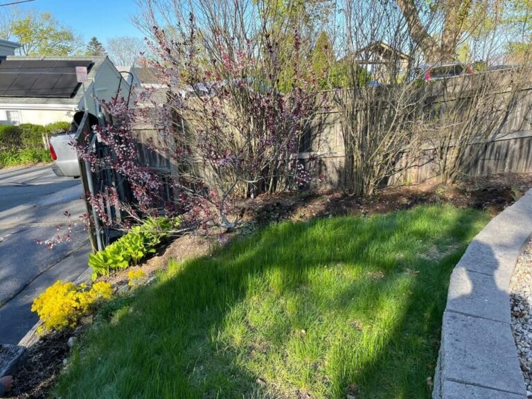 Portfolio Image Zonta Landscape 1