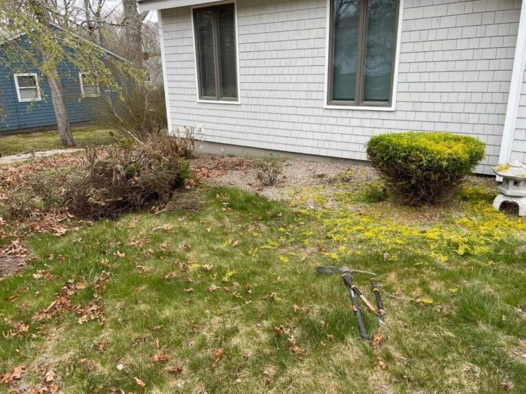 Portfolio Image Zonta Landscape 11