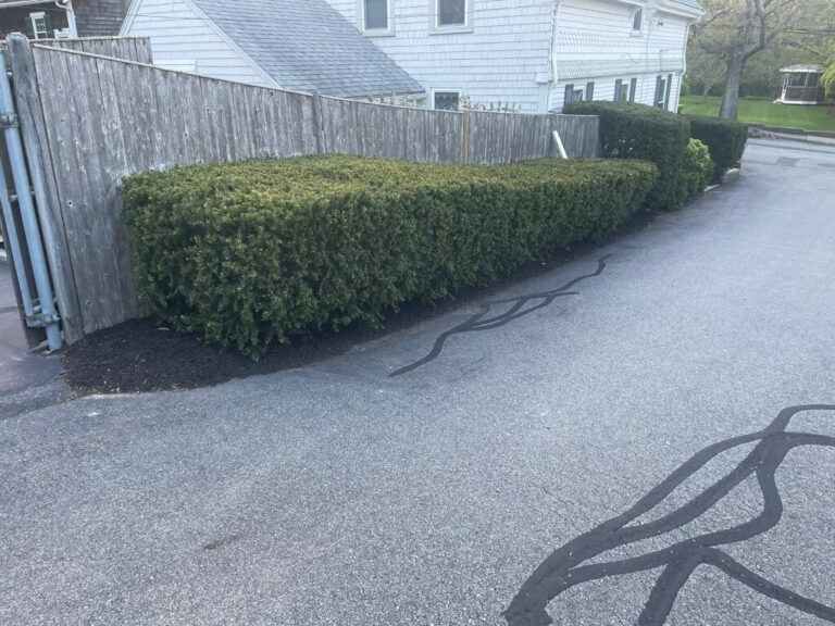 Portfolio Image Zonta Landscape 16