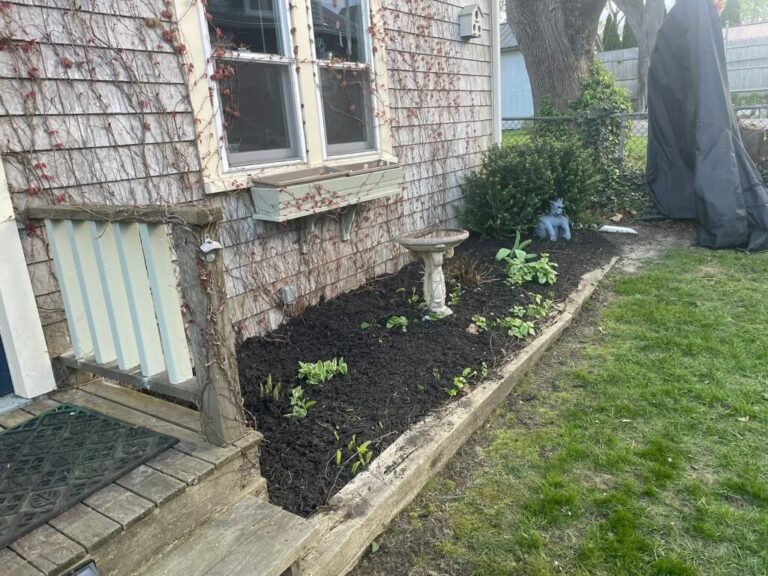 Portfolio Image Zonta Landscape 19