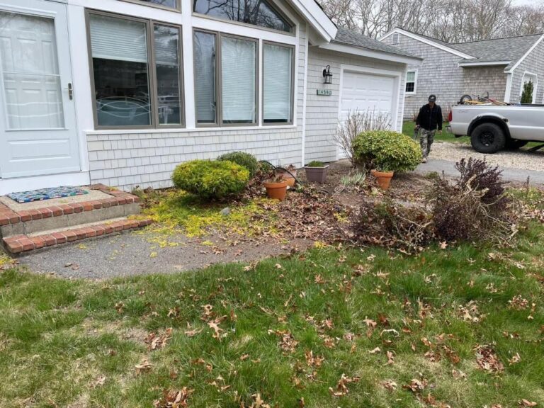 Portfolio Image Zonta Landscape 20