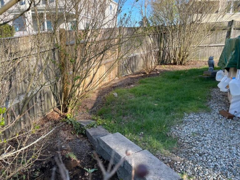 Portfolio Image Zonta Landscape 22