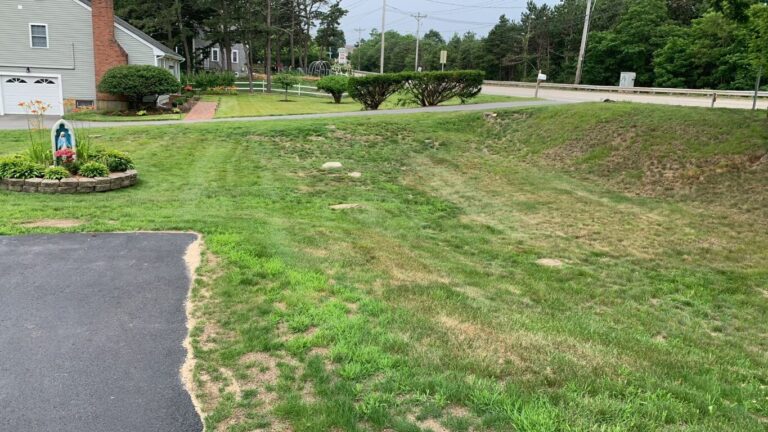 Portfolio Image Zonta Landscape 23