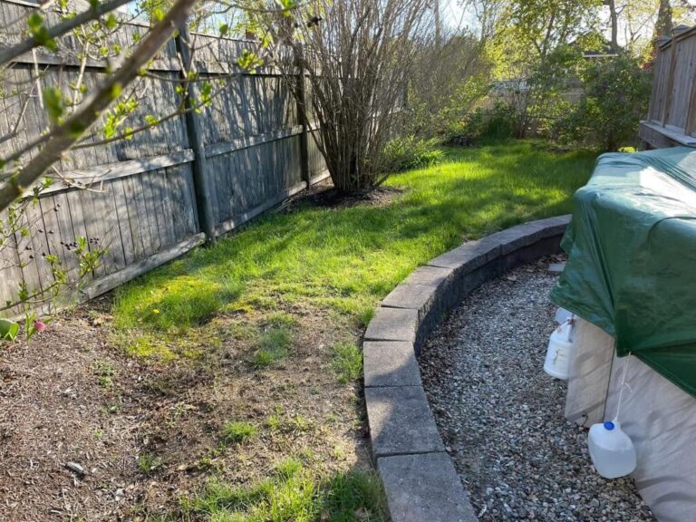 Portfolio Image Zonta Landscape 27