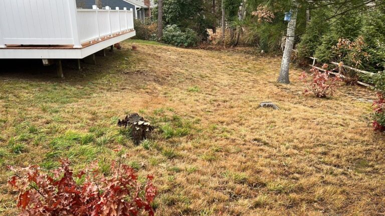 Portfolio Image Zonta Landscape 33