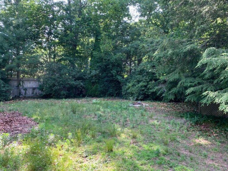 Portfolio Image Zonta Landscape 36