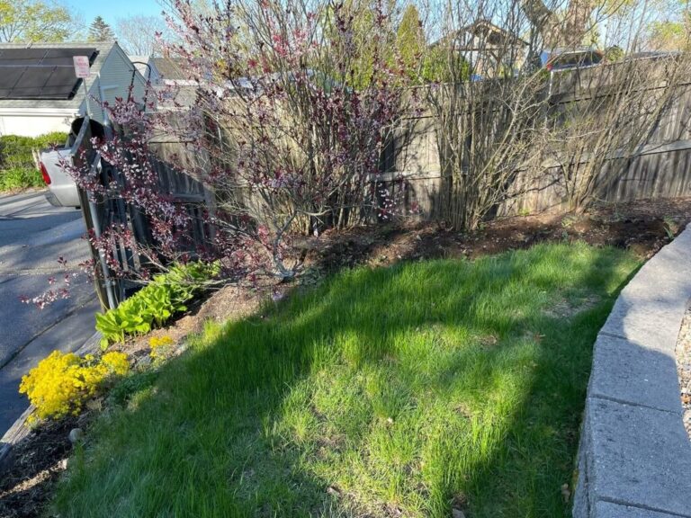 Portfolio Image Zonta Landscape 37