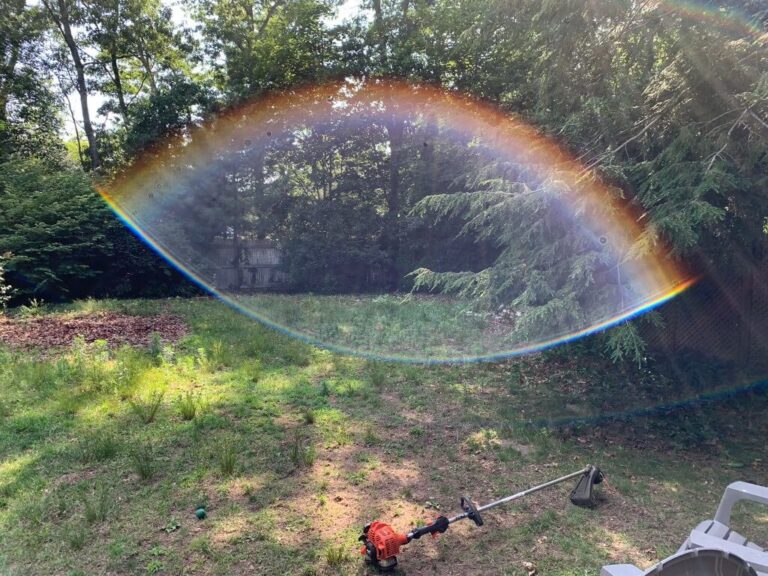 Portfolio Image Zonta Landscape 40