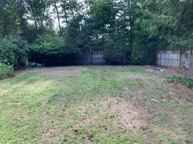 Portfolio Image Zonta Landscape 41