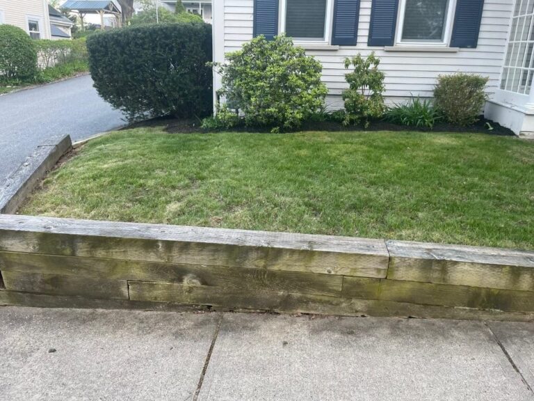 Portfolio Image Zonta Landscape 45