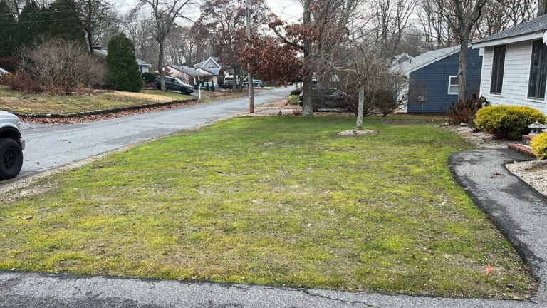 Portfolio Image Zonta Landscape 48