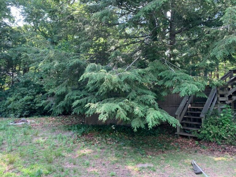 Portfolio Image Zonta Landscape 5