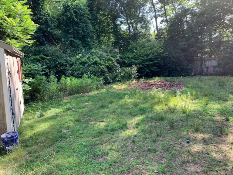 Portfolio Image Zonta Landscape 51