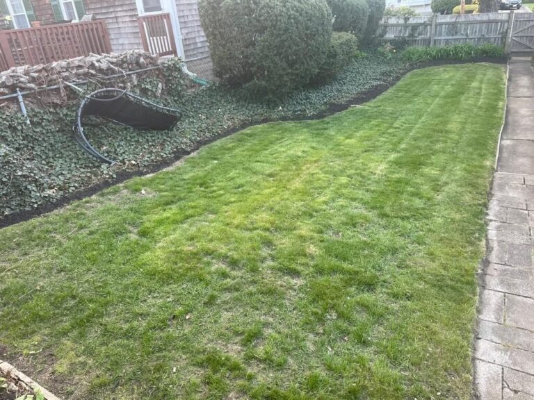 Portfolio Image Zonta Landscape 53