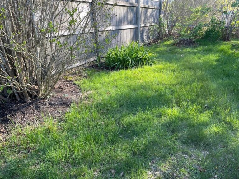 Portfolio Image Zonta Landscape 7